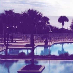 Meet your Posher, Alegra